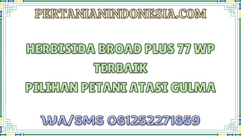 Herbisida Broad Plus 77 WP Terbaik Pilihan Petani Atasi Gulma