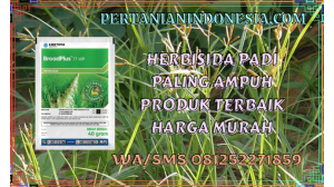 Herbisida Padi Paling Ampuh Produk Terbaik Harga Murah