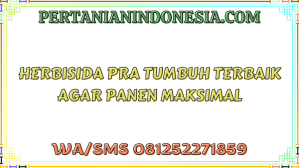 Herbisida Pra Tumbuh Terbaik Agar Panen Maksimal