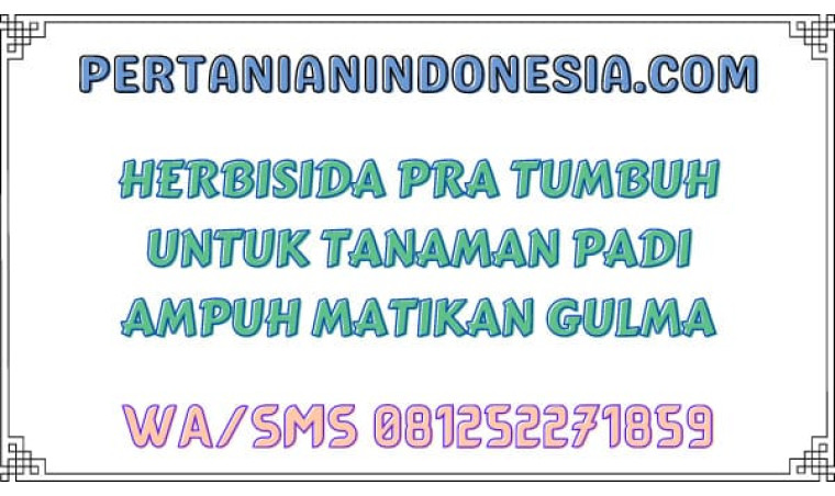 Herbisida Pra Tumbuh Untuk Tanaman Padi Ampuh Matikan Gulma