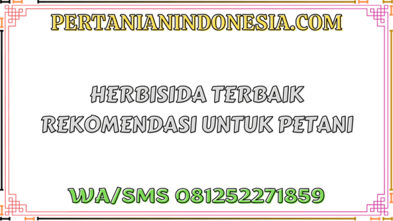 Herbisida Terbaik Rekomendasi Untuk Petani
