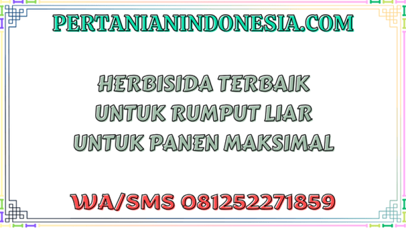 Herbisida Terbaik Untuk Rumput Liar Untuk Panen Maksimal