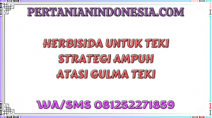 Herbisida Untuk Teki Strategi Ampuh Atasi Gulma Teki