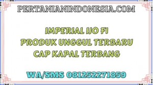 Imperial Ijo F1 Produk Unggul Terbaru Cap Kapal Terbang