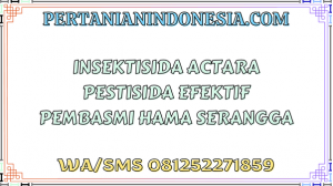 Insektisida Actara Pestisida Efektif Pembasmi Hama Serangga