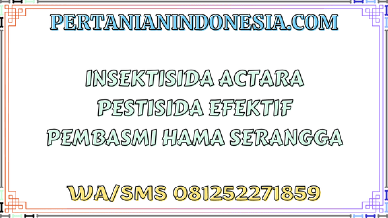 Insektisida Actara Pestisida Efektif Pembasmi Hama Serangga
