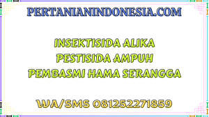 Insektisida Alika Pestisida Ampuh Pembasmi Hama Serangga