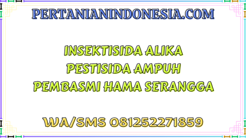 Insektisida Alika Pestisida Ampuh Pembasmi Hama Serangga