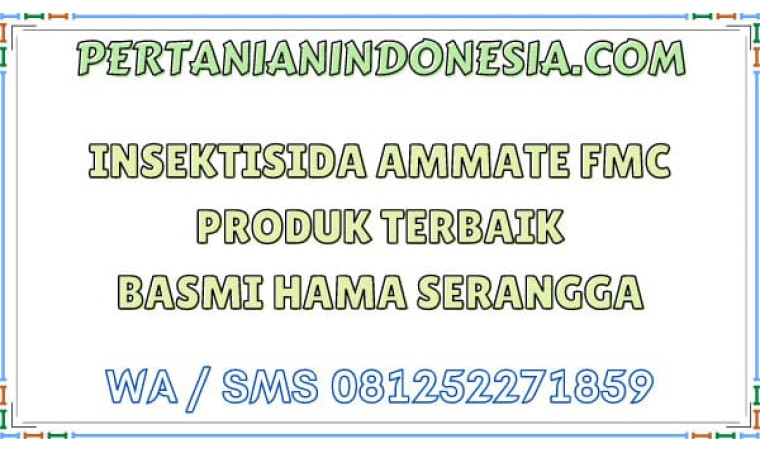 Insektisida Ammate FMC Produk Terbaik Basmi Hama Serangga
