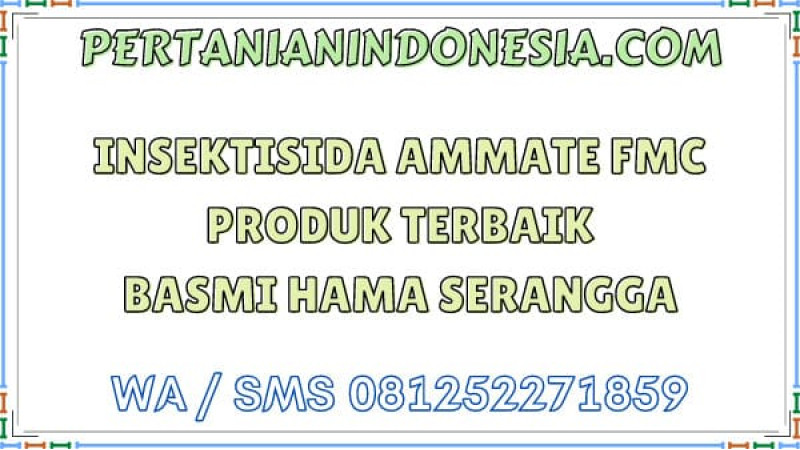 Insektisida Ammate FMC Produk Terbaik Basmi Hama Serangga