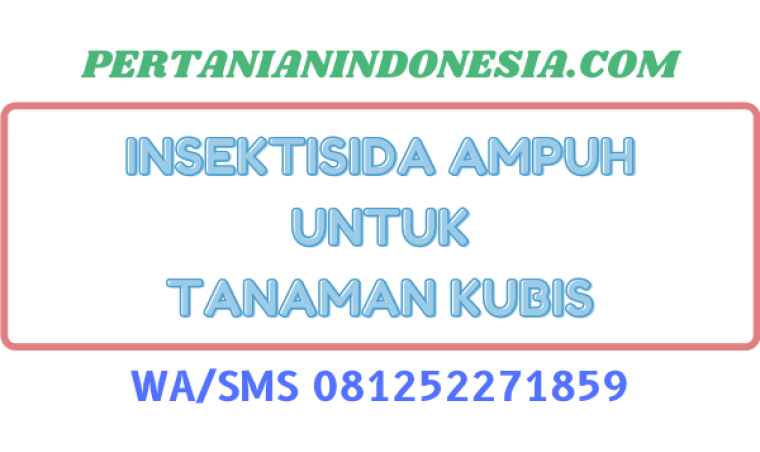 Insektisida Ampuh Untuk Tanaman Kubis