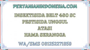 Insektisida Belt 480 SC Pestisida Unggul Atasi Hama Serangga