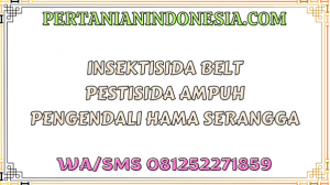 Insektisida Belt Pestisida Ampuh Pengendali Hama Serangga