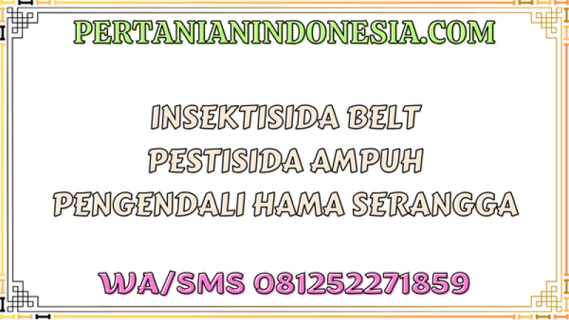 Insektisida Belt Pestisida Ampuh Pengendali Hama Serangga
