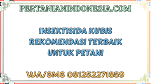 Insektisida Kubis Rekomendasi Terbaik Untuk Petani