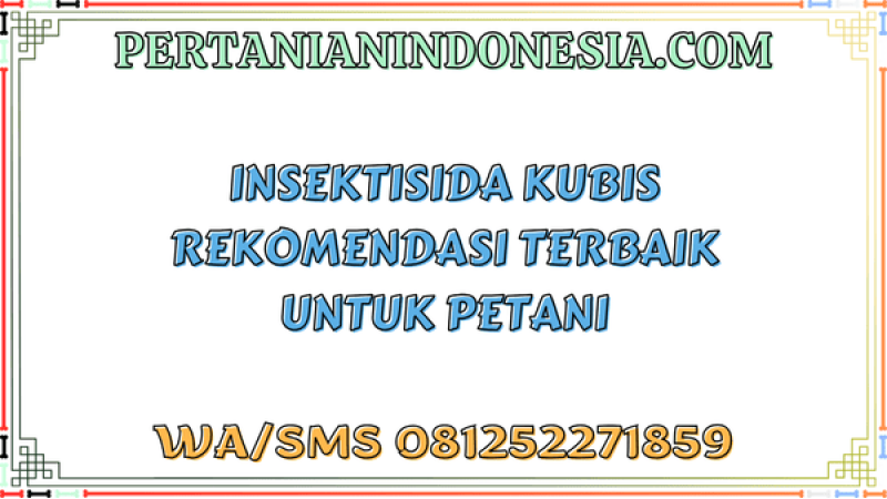 Insektisida Kubis Rekomendasi Terbaik Untuk Petani