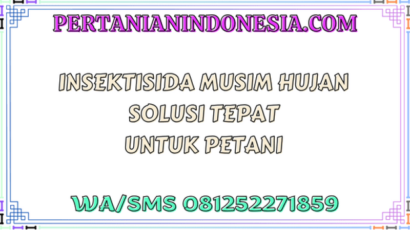 Insektisida Musim Hujan Solusi Tepat Untuk Petani
