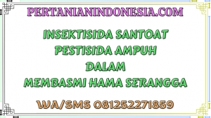 Insektisida Santoat Pestisida Ampuh Dalam Membasmi Hama Serangga