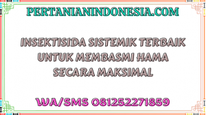 Insektisida Sistemik Terbaik Untuk Membasmi Hama Secara Maksimal