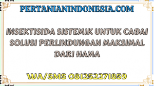 Insektisida Sistemik Untuk Cabai Solusi Perlindungan Maksimal Dari Hama