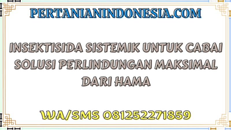 Insektisida Sistemik Untuk Cabai Solusi Perlindungan Maksimal Dari Hama