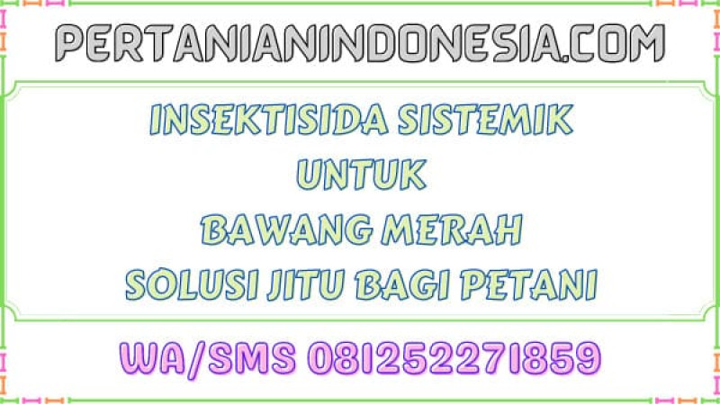 Insektisida Sistemik Untuk Ulat Bawang Merah Solusi Jitu Bagi Petani