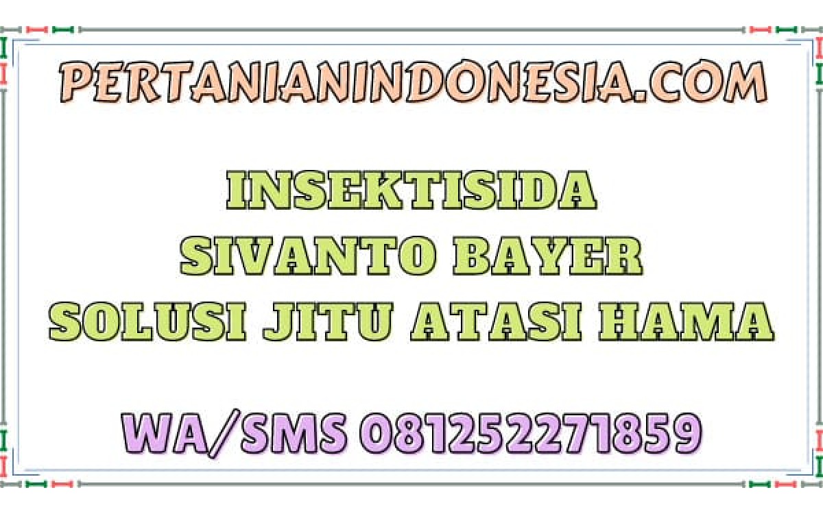 Insektisida Sivanto Bayer Solusi Jitu Atasi Hama