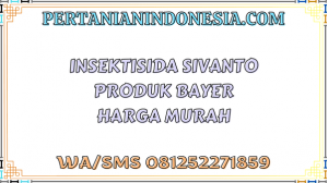 Insektisida Sivanto Produk Bayer Harga Murah