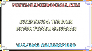 Insektisida Terbaik Untuk Petani Gunakan