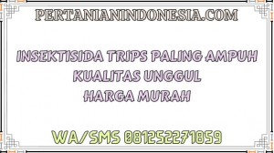 Insektisida Trips Paling Ampuh Kualitas Unggul Harga Murah