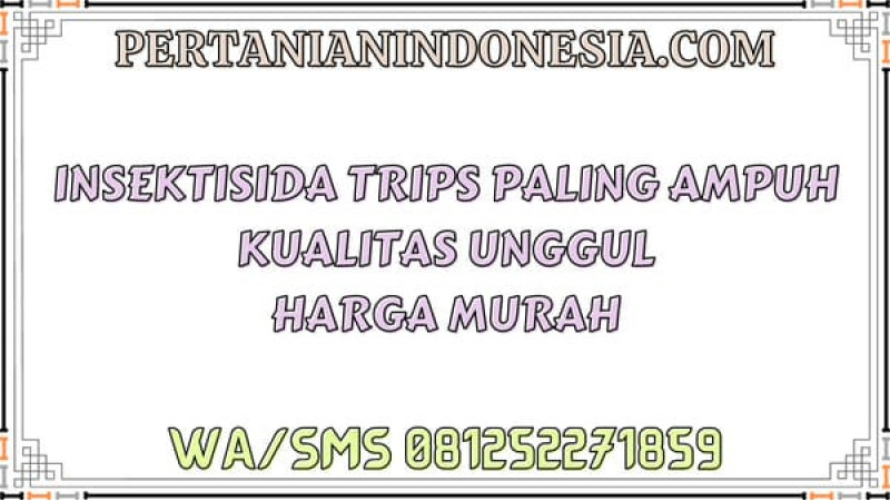 Insektisida Trips Paling Ampuh Kualitas Unggul Harga Murah