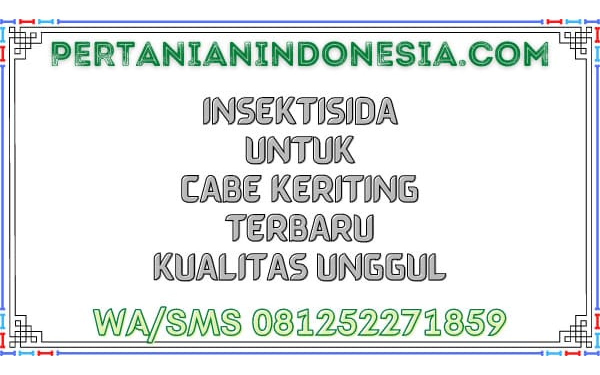 Insektisida Untuk Cabe Keriting Terbaru Kualitas Unggul