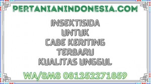 Insektisida Untuk Cabe Keriting Terbaru Kualitas Unggul