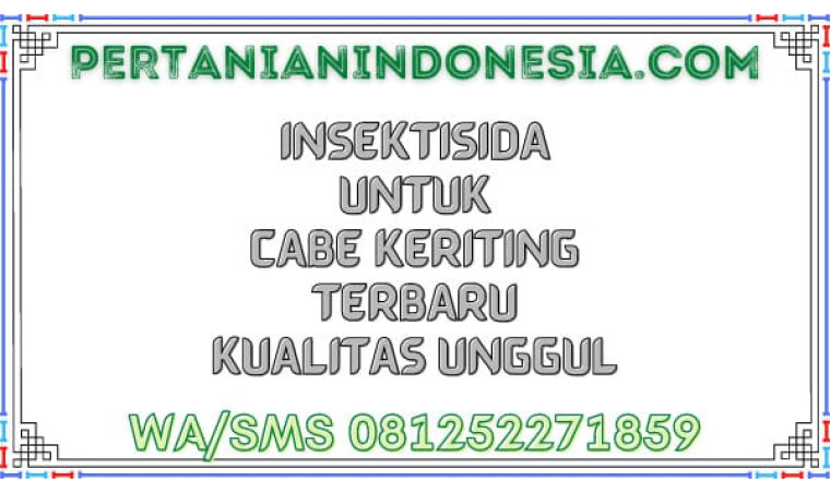 Insektisida Untuk Cabe Keriting Terbaru Kualitas Unggul