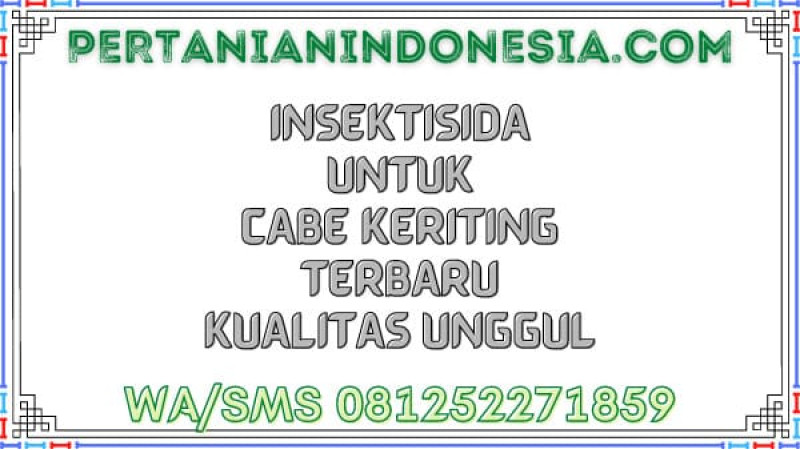 Insektisida Untuk Cabe Keriting Terbaru Kualitas Unggul