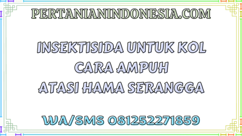 Insektisida Untuk Kol Cara Ampuh Atasi Hama Serangga