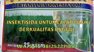 Insektisida Untuk Lalat Buah Berkualitas Unggul