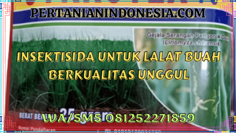 Insektisida Untuk Lalat Buah Berkualitas Unggul