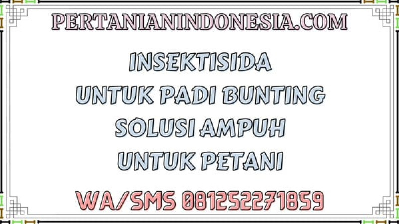 Insektisida Untuk Padi Bunting Solusi Ampuh Untuk Petani