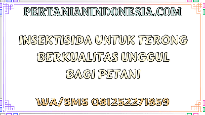 Insektisida Untuk Terong Berkualitas Unggul Bagi Petani