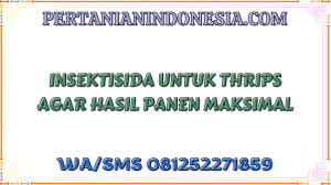Insektisida Untuk Thrips Agar Hasil Panen Maksimal