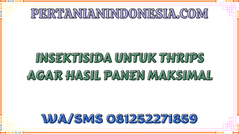 Insektisida Untuk Thrips Agar Hasil Panen Maksimal