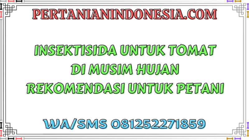 Insektisida Untuk Tomat Di Musim Hujan Rekomendasi Untuk Petani