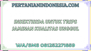 Insektisida Untuk Trips Jaminan Kualitas Unggul