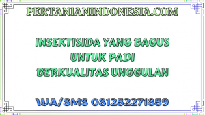 Insektisida Yang Bagus Untuk Padi Berkualitas Unggulan