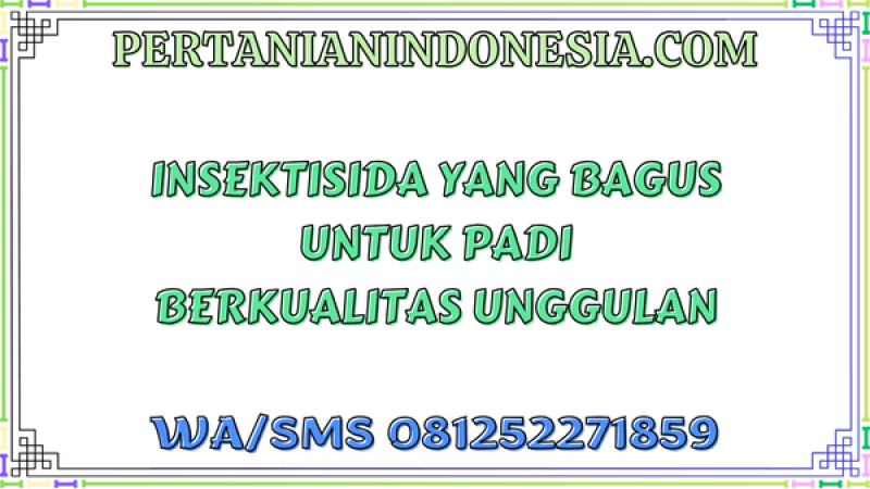 Insektisida Yang Bagus Untuk Padi Berkualitas Unggulan