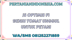 JS Optimis F1 Benih Tomat Unggul Untuk Petani