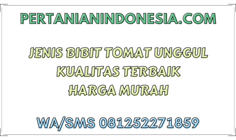 Jenis Bibit Tomat Unggul Kualitas Terbaik Harga Murah