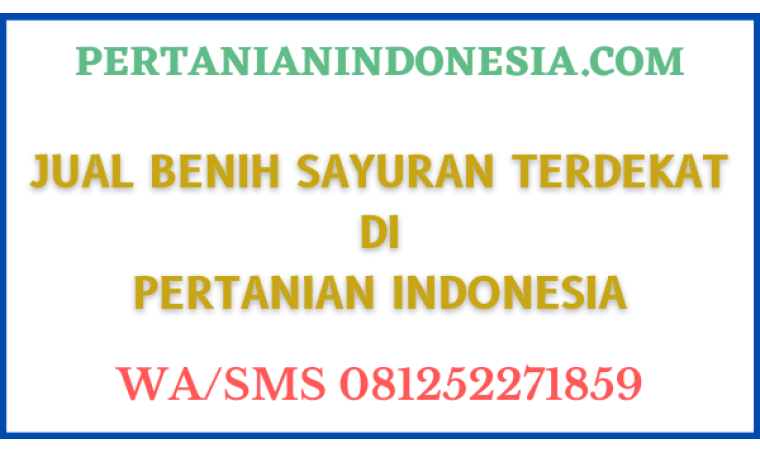 Jual Benih Sayuran Terdekat Di Pertanian Indonesia