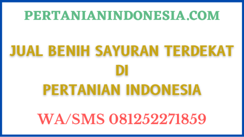 Jual Benih Sayuran Terdekat Di Pertanian Indonesia